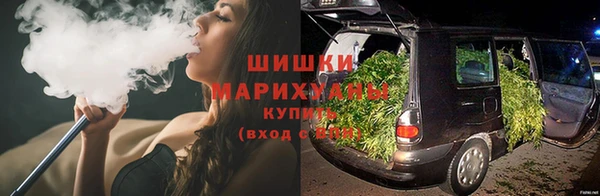 сатива Волоколамск
