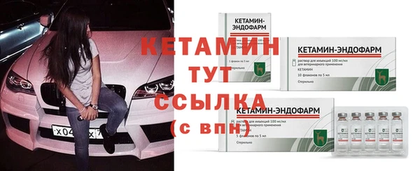 сатива Волоколамск