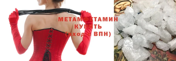сатива Волоколамск