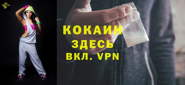 сатива Волоколамск