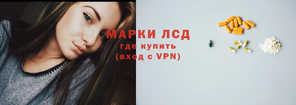 сатива Волоколамск