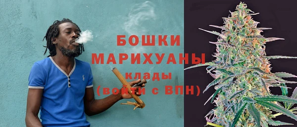 сатива Волоколамск